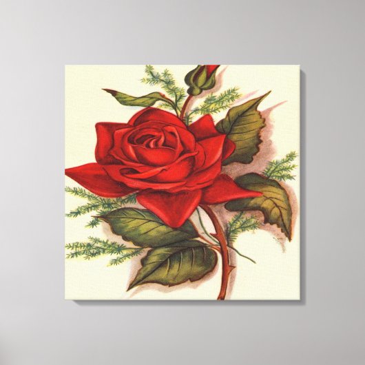Red Rose Premium Verpakt Canvas (Glans) (Voorkant)