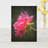 Red Rose & Raindrops, kaart (Gele Bloem)