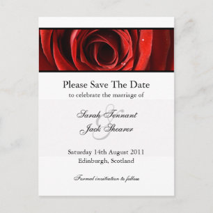 Red Rose - Red de datum Briefkaart