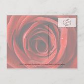 Red Rose - Red de datum Briefkaart (Achterkant)