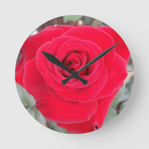 Red Rose Ronde Klok