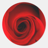 Red Rose Ronde Sticker (Voorkant)