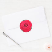 Red Rose Ronde Sticker (Envelop)