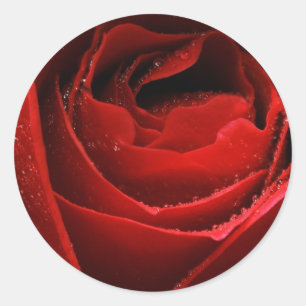 Red Rose Ronde Sticker