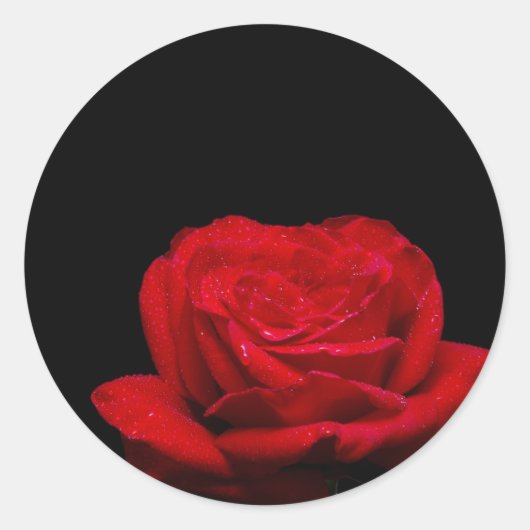 Red Rose Ronde Sticker (Voorkant)