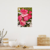 Red Rose Rozen White Floral Flower Garden Poster (Keuken)