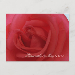 Red Rose RSVP Uitnodiging Briefkaart