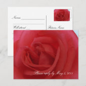 Red Rose RSVP Uitnodiging Briefkaart (Voorkant / Achterkant)