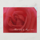 Red Rose RSVP Uitnodiging Briefkaart (Voorkant)