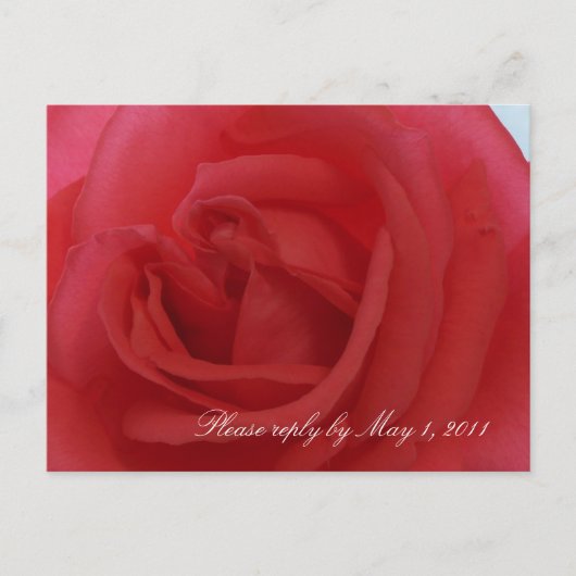 Red Rose RSVP Uitnodiging Briefkaart (Voorkant)