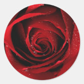 Red Rose Seals Ronde Sticker (Voorkant)