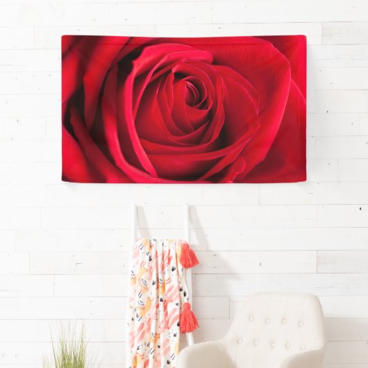 Red Rose Spandoek (Insitu)