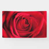 Red Rose Spandoek (Horizontaal)