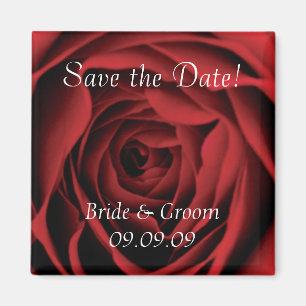Red Rose sparen de Magnet van de Datum