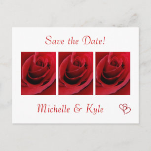 Red Rose sparen het Briefkaart van de Datum
