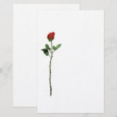 Red Rose Stationery Briefpapier (Voorkant / Achterkant)