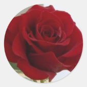 Red Rose Sticker (Voorkant)