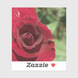 Red Rose Sticker