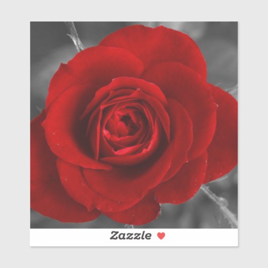 Red Rose Sticker (Vel)