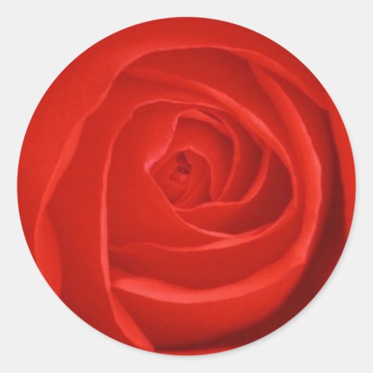 Red Rose Sticker (Voorkant)