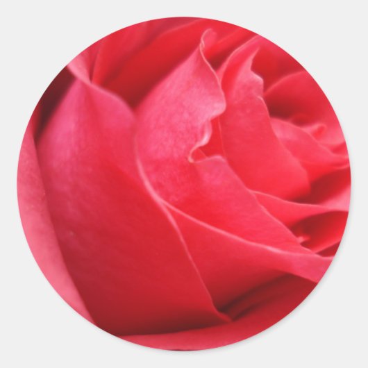 Red Rose Stickers en Envelope Seals (Voorkant)