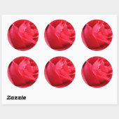 Red Rose Stickers en Envelope Seals (Vel)