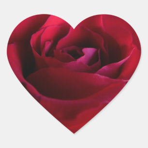 Red Rose Stickers Romantisch Roos Geschenken Keeps