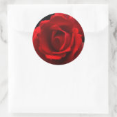 Red Rose stokcnm Ronde Sticker (Tas)