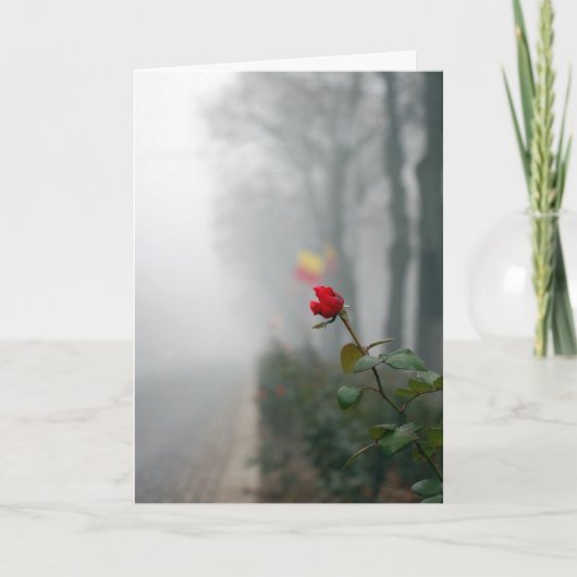 Red Rose Sympathy Card Kaart (Voorkant)