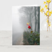 Red Rose Sympathy Card Kaart (Gele Bloem)