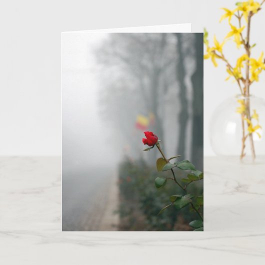 Red Rose Sympathy Card Kaart (Gele Bloem)