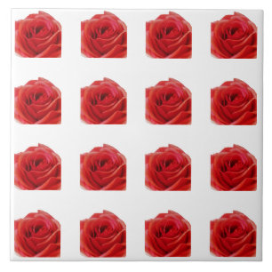 Red Rose Tegeltje