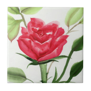 Red Rose Tegeltje