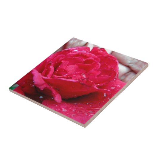 Red Rose Tegeltje (Zijkant)