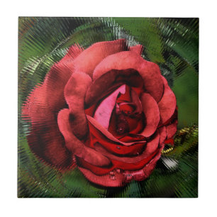 Red Rose through Glass Floral Art Tile Tegeltje