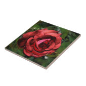 Red Rose through Glass Floral Art Tile Tegeltje (Zijkant)
