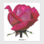 Red Rose Thunder_Cove Sticker (Vel)