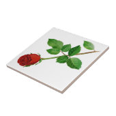 Red Rose Tile Tegeltje (Zijkant)
