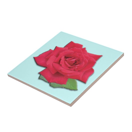 Red Rose Tile Tegeltje (Zijkant)