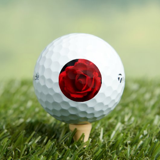 Red Rose tmtp5 gbcna Golfballen (Insitu Shirt)