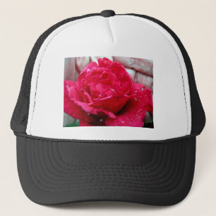 Red Rose Trucker Pet