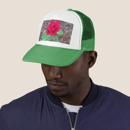 Red Rose Trucker Pet (In situ)