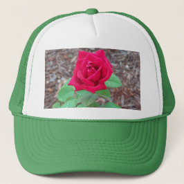 Red Rose Trucker Pet