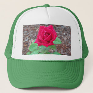 Red Rose Trucker Pet
