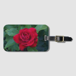 Red Rose Up Close Bagagelabel