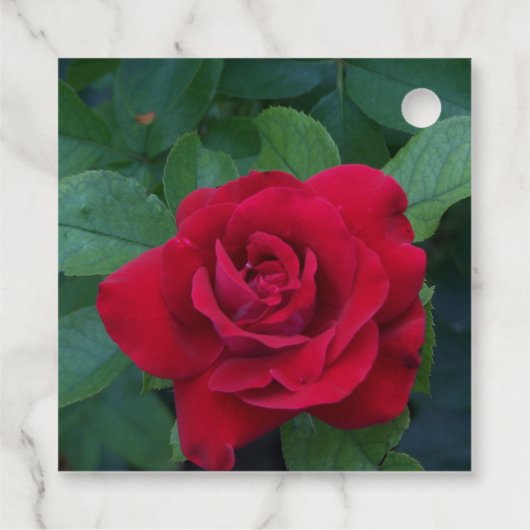 Red Rose Up Close Bedankjes Labels (Achterkant)