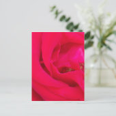 Red Rose Up Close Briefkaart (Staand voorkant)