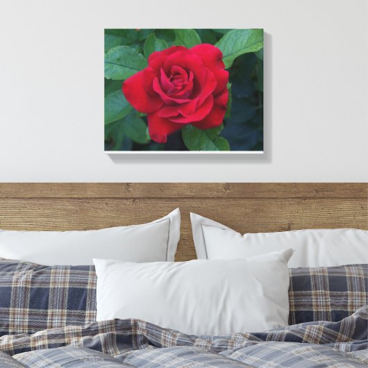 Red Rose Up Close Canvas Afdruk (Insitu (Slaapkamer))