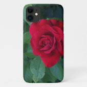 Red Rose Up Close Case-Mate iPhone Case (Achterkant)