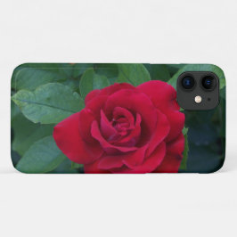 Red Rose Up Close Case-Mate iPhone Case